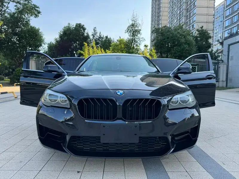 BMW 5 Series 2011 523Li Luxury — миниатюра 2