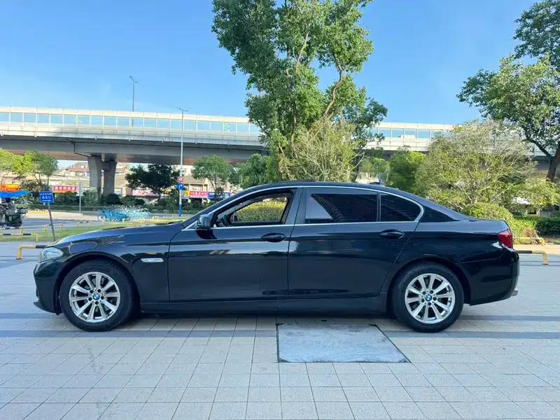 BMW 5 Series 2011 523Li Luxury — миниатюра 4