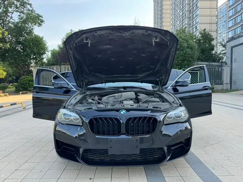 BMW 5 Series 2011 523Li Luxury — миниатюра 10
