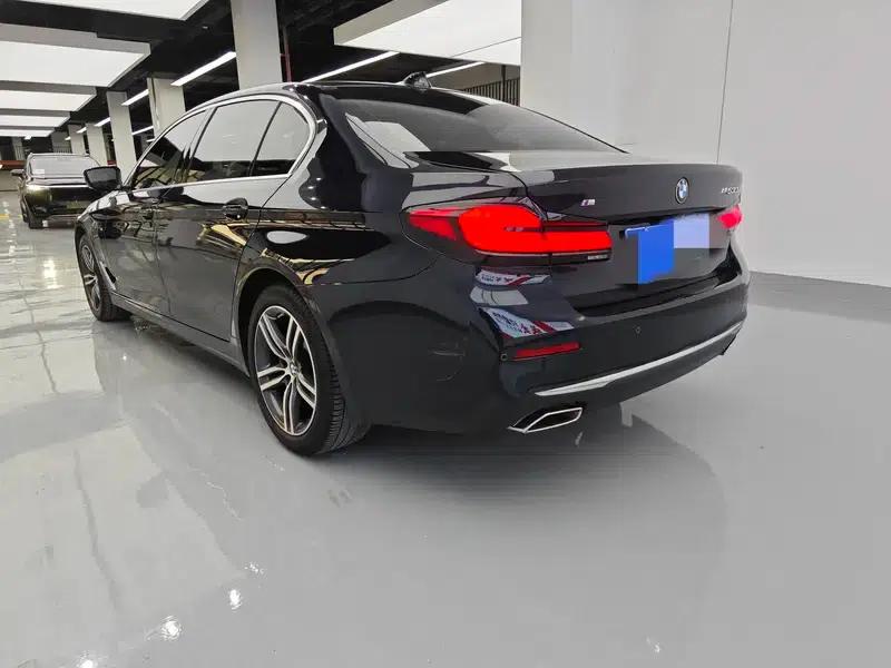BMW 5 Series 2021 530Li Leading Luxury Package — миниатюра 4