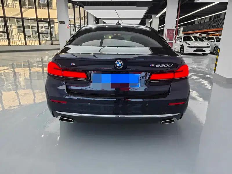 BMW 5 Series 2021 530Li Leading Luxury Package — миниатюра 5