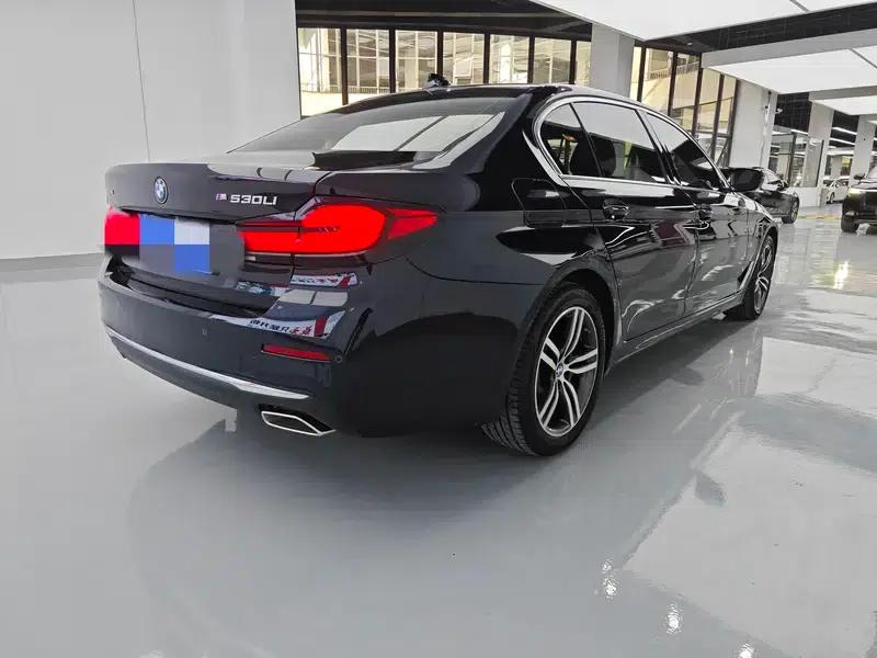 BMW 5 Series 2021 530Li Leading Luxury Package — миниатюра 6