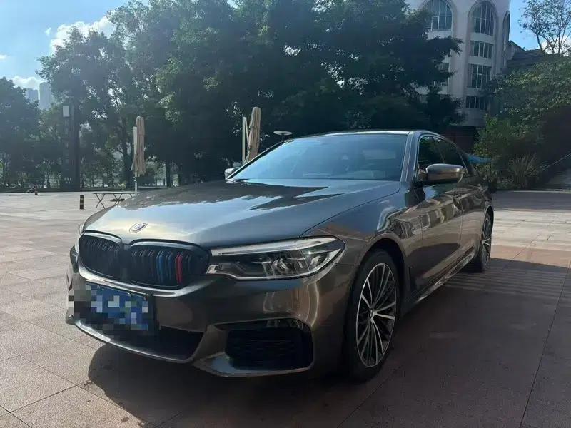 2020 BMW 5 Series 530Li Leading Edition M Sport Package — миниатюра 1