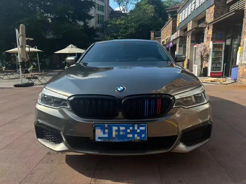 2020 BMW 5 Series 530Li Leading Edition M Sport Package — миниатюра 2