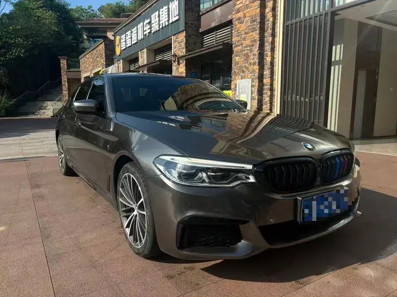 2020 BMW 5 Series 530Li Leading Edition M Sport Package — миниатюра 3