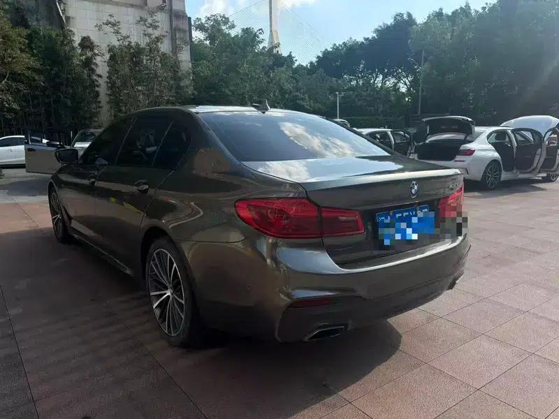 2020 BMW 5 Series 530Li Leading Edition M Sport Package — миниатюра 4
