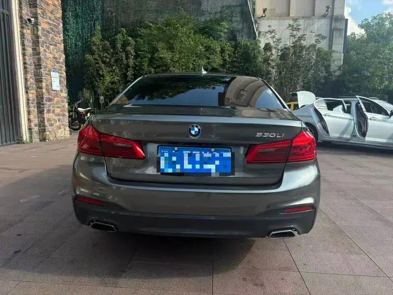 2020 BMW 5 Series 530Li Leading Edition M Sport Package — миниатюра 5