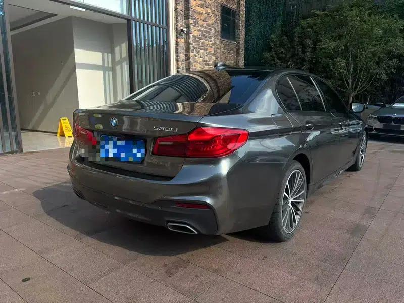2020 BMW 5 Series 530Li Leading Edition M Sport Package — миниатюра 6