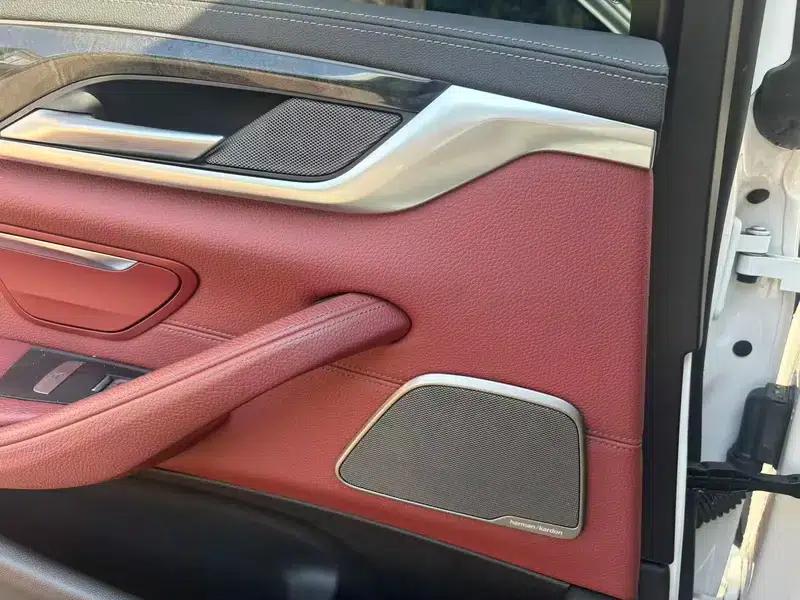 2020 BMW 5 Series 530Li Leading Edition M Sport Package — миниатюра 7