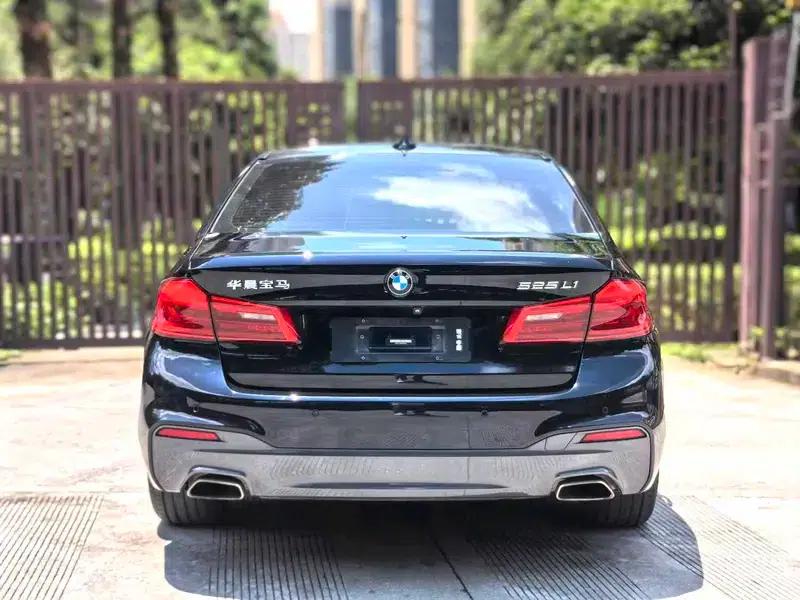2019 BMW 5 Series 525Li M Sport Package — миниатюра 5
