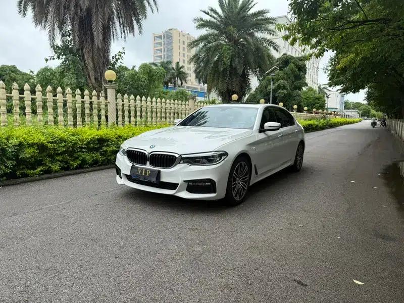 2018 BMW 5 Series 530Li Leading Edition M Sport Package — миниатюра 1