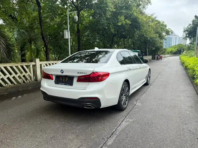 2018 BMW 5 Series 530Li Leading Edition M Sport Package — миниатюра 6