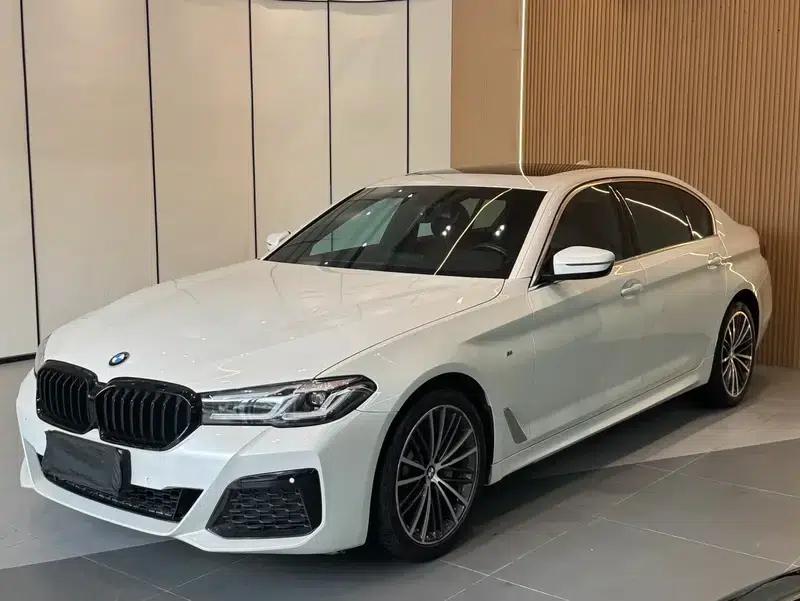 2020 BMW 5 Series 530Li Leading Edition M Sport Package — миниатюра 1