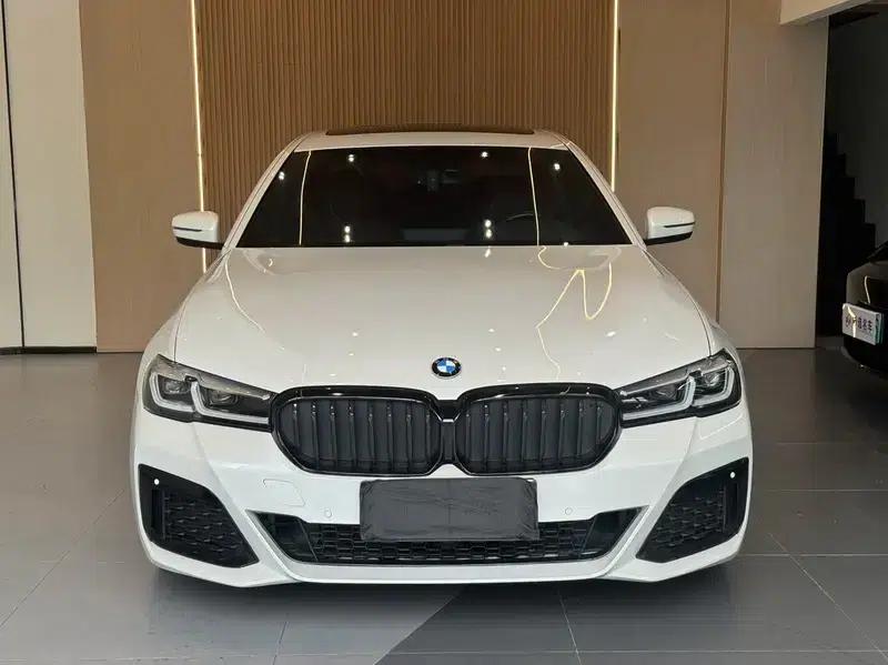 2020 BMW 5 Series 530Li Leading Edition M Sport Package — миниатюра 2