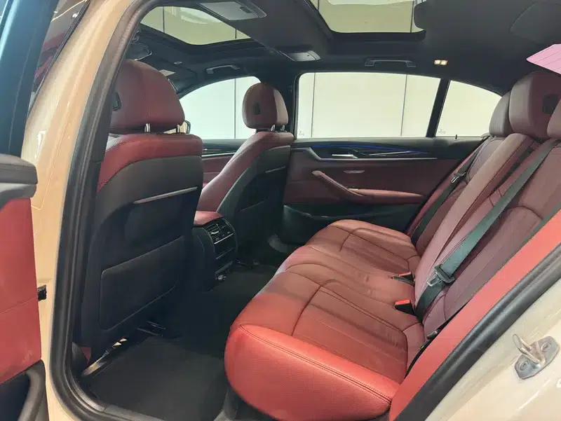 2020 BMW 5 Series 530Li Leading Edition M Sport Package — миниатюра 17