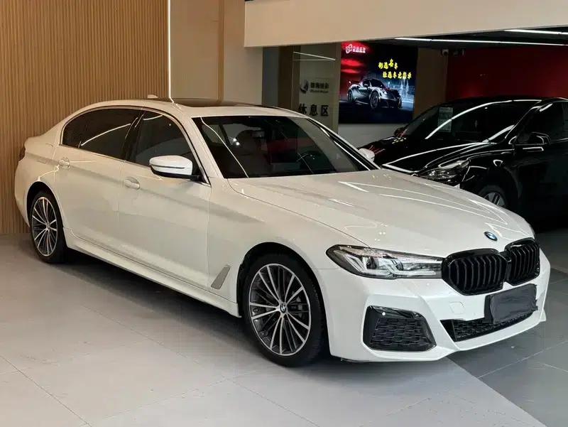 2020 BMW 5 Series 530Li Leading Edition M Sport Package — миниатюра 3