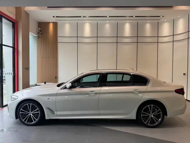 2020 BMW 5 Series 530Li Leading Edition M Sport Package — миниатюра 4