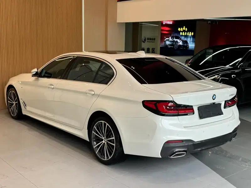 2020 BMW 5 Series 530Li Leading Edition M Sport Package — миниатюра 5