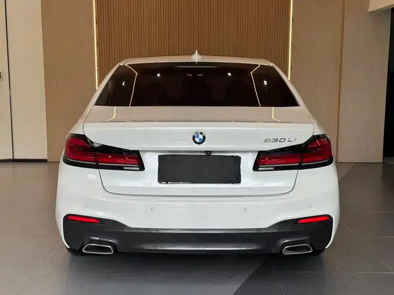 2020 BMW 5 Series 530Li Leading Edition M Sport Package — миниатюра 6