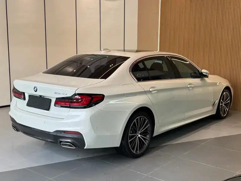 2020 BMW 5 Series 530Li Leading Edition M Sport Package — миниатюра 7
