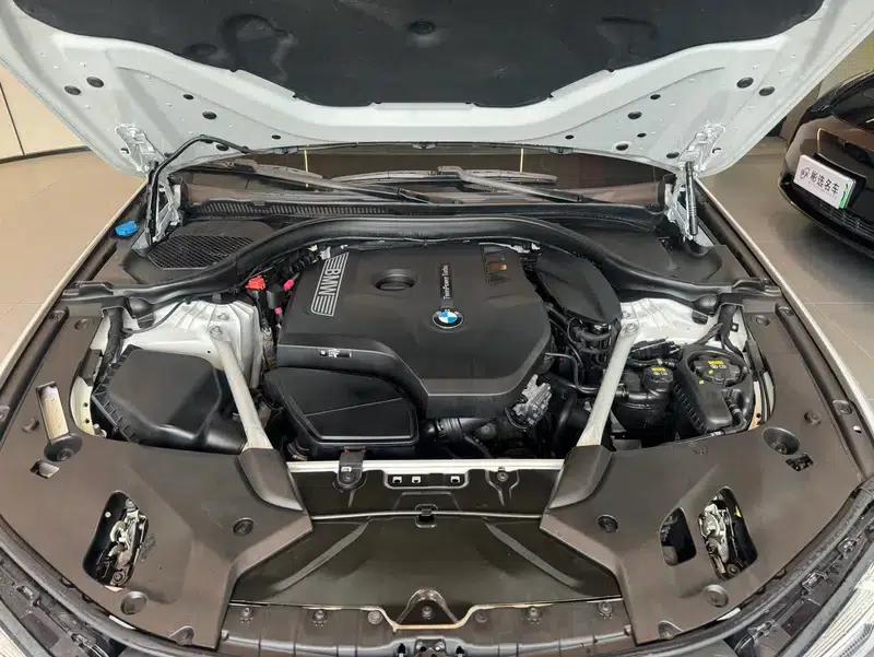 2020 BMW 5 Series 530Li Leading Edition M Sport Package — миниатюра 9