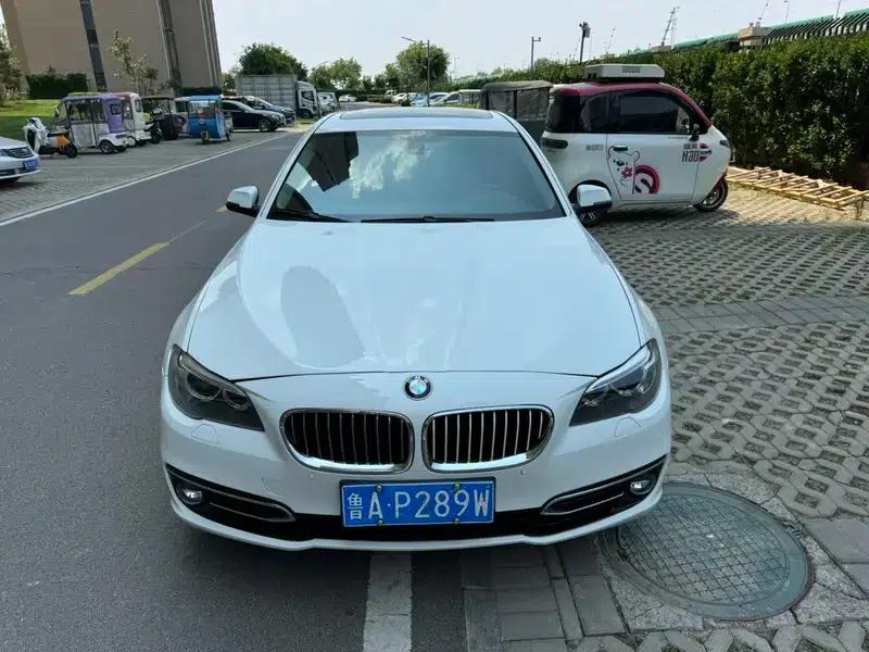 2014 BMW 5 Series 520Li Elegant Edition — миниатюра 2