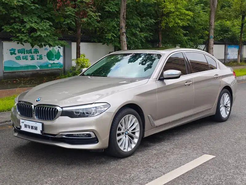 2019 BMW 5 Series 525Li Luxury Package — миниатюра 1