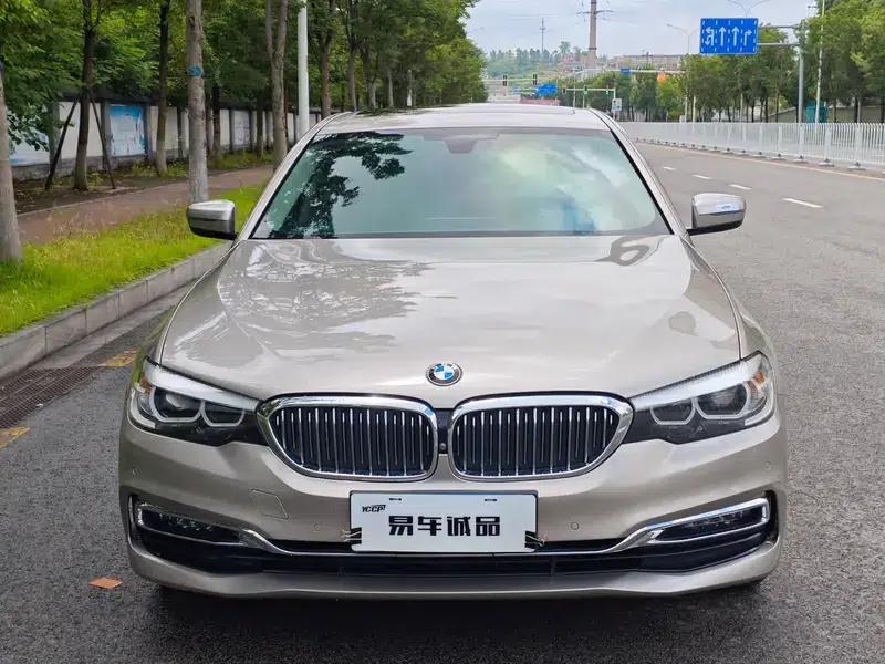 2019 BMW 5 Series 525Li Luxury Package — миниатюра 2
