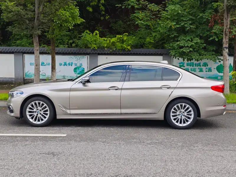 2019 BMW 5 Series 525Li Luxury Package — миниатюра 4