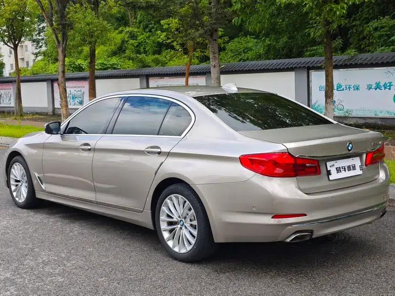 2019 BMW 5 Series 525Li Luxury Package — миниатюра 5