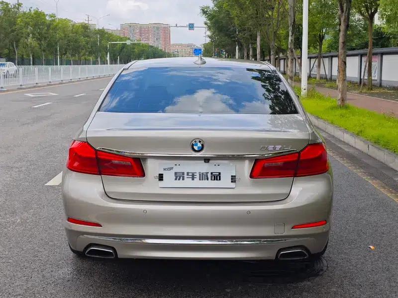 2019 BMW 5 Series 525Li Luxury Package — миниатюра 6