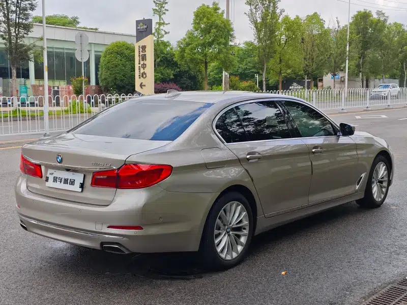 2019 BMW 5 Series 525Li Luxury Package — миниатюра 7
