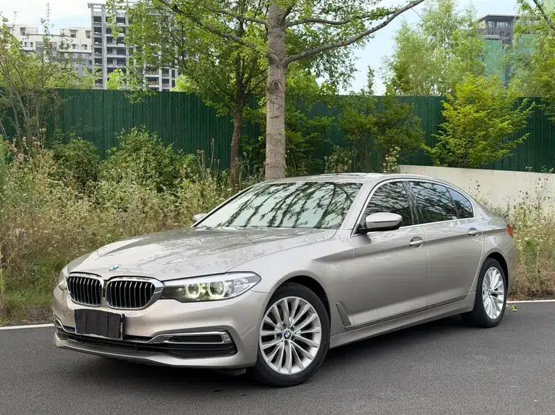 2020 BMW 5 Series 525Li Luxury Package — миниатюра 1