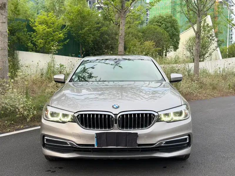 2020 BMW 5 Series 525Li Luxury Package — миниатюра 2