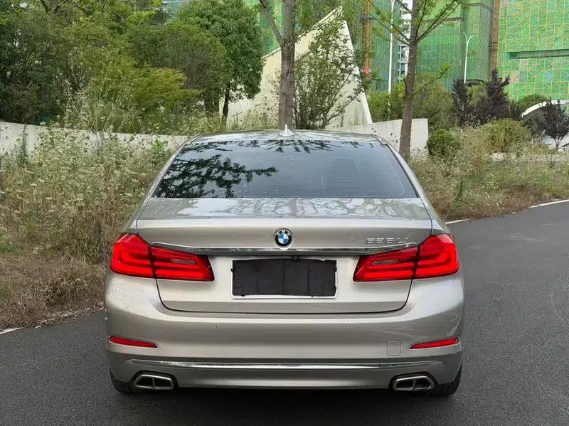 2020 BMW 5 Series 525Li Luxury Package — миниатюра 4