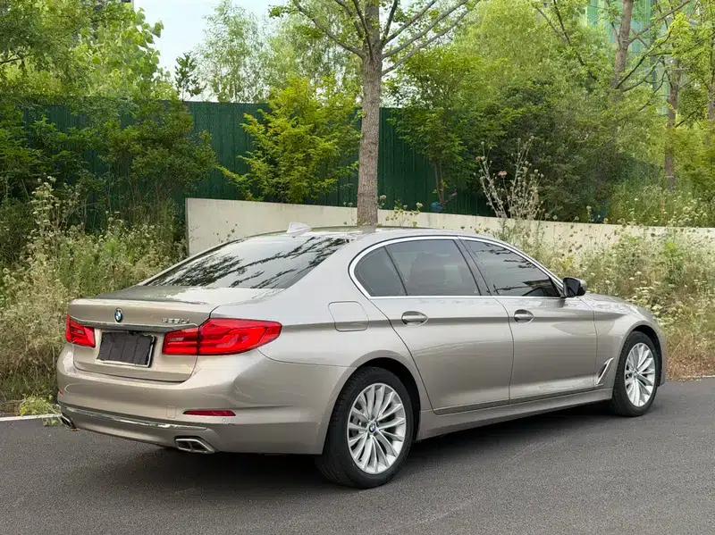 2020 BMW 5 Series 525Li Luxury Package — миниатюра 5