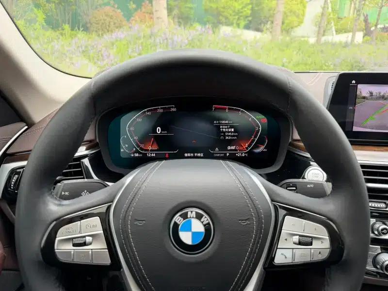 2020 BMW 5 Series 525Li Luxury Package — миниатюра 9