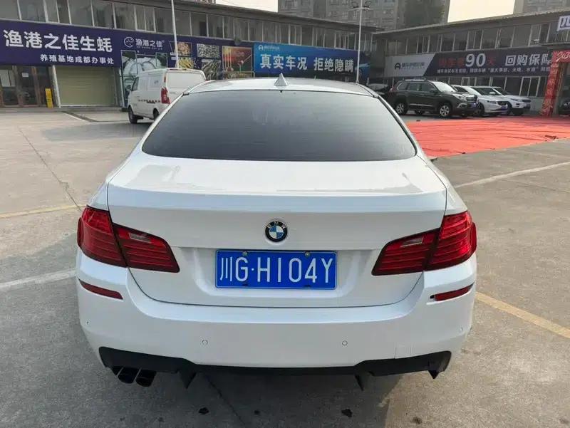 2014 BMW 5 Series 520Li Elegant Edition — миниатюра 5