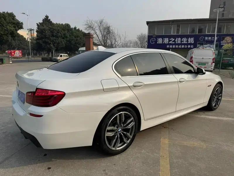 2014 BMW 5 Series 520Li Elegant Edition — миниатюра 6