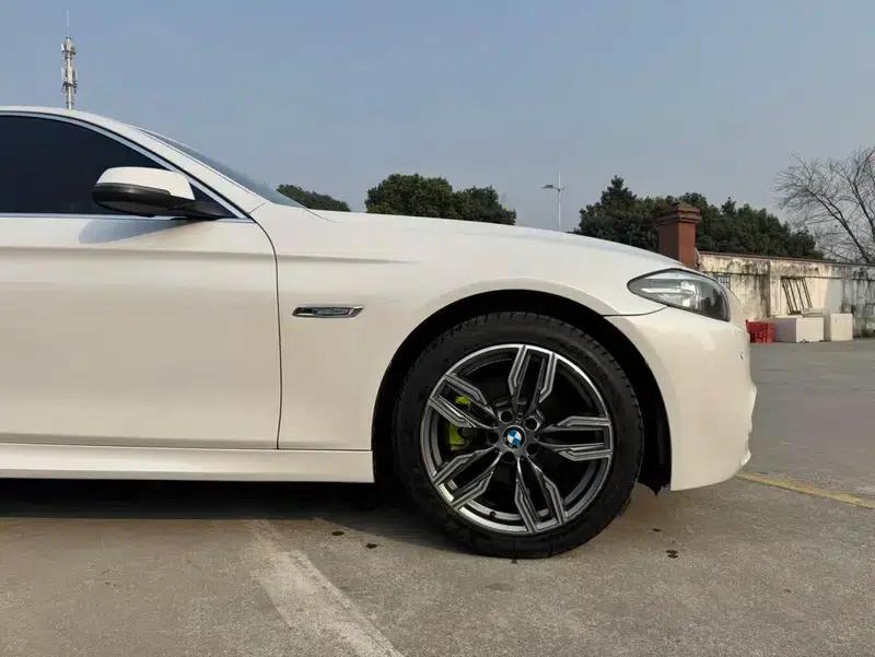 2014 BMW 5 Series 520Li Elegant Edition — миниатюра 8