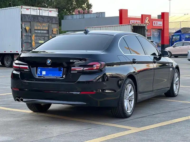 BMW 5 Series 2011 523Li Luxury — миниатюра 5