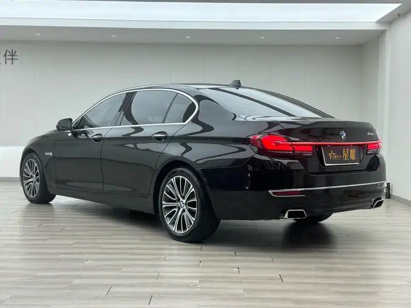2014 BMW 5 Series 525Li Luxury Design Package — миниатюра 4