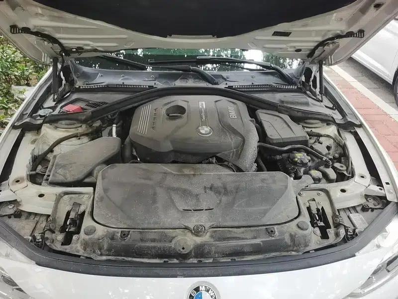 2018 BMW 3 Series 320Li Leading Luxury Package — миниатюра 19
