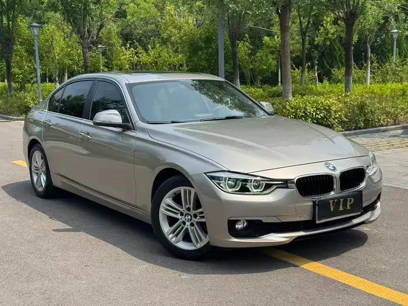 2017 BMW 3 Series 320Li Fashion Edition — миниатюра 3