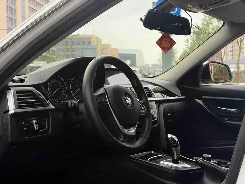 2016 BMW 3 Series 320Li Progressive — миниатюра 13