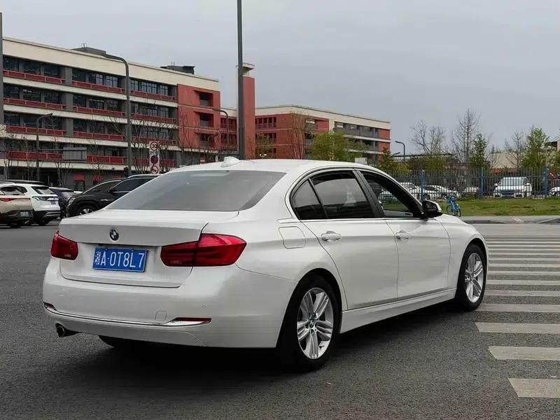 2016 BMW 3 Series 320Li Progressive — миниатюра 6