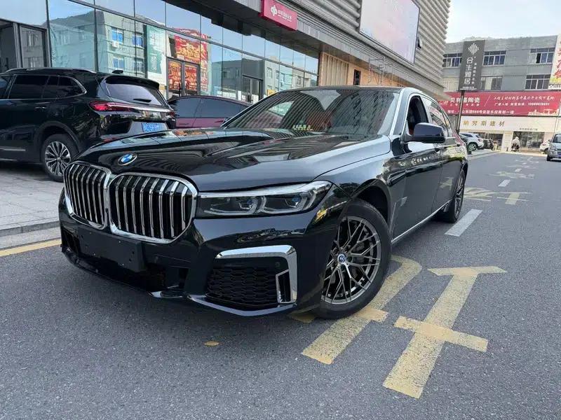 BMW 7 Series 2009 730Li Luxury — миниатюра 1