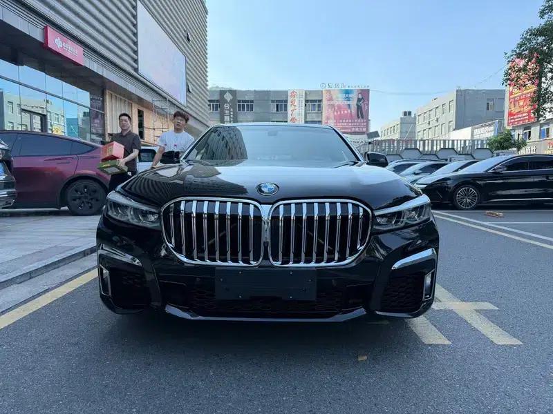 BMW 7 Series 2009 730Li Luxury — миниатюра 2