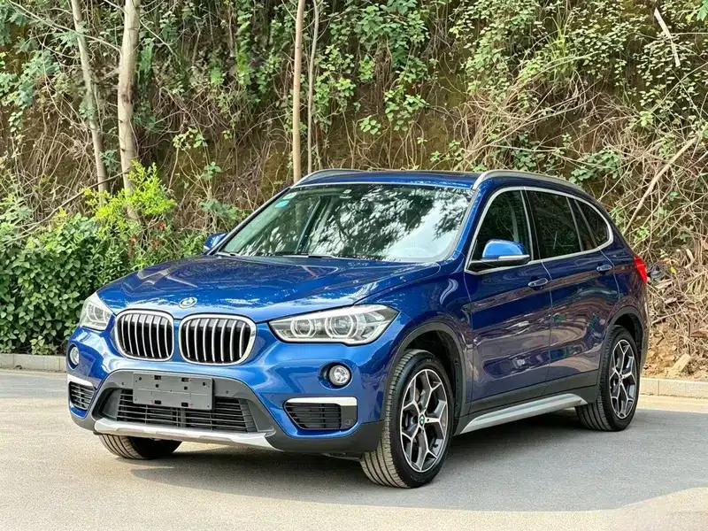 BMW X1 2018 xDrive20Li Luxury — миниатюра 1