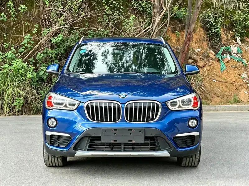 BMW X1 2018 xDrive20Li Luxury — миниатюра 2